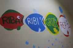 IMG 7998